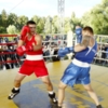 Боксери з трьох країн Європи змагалися у Чернігові