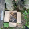 Новгород-Сіверські поліцейські виявили схрон з боєприпасами