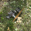Внаслідок ворожої атаки по місту Чернігову постраждали дві жінки – розпочато провадження