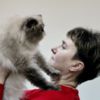 У Чернігові проходить виставка котів та кішок. ФОТОрепортаж 