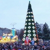 На Красній площі Чернігова засяяли вогні Новорічної ялинки