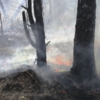 Чернігівська область: протягом минулих вихідних вогнеборці ліквідували 24 пожежі  в екосистемах