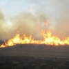 Рятувальниками ліквідовано 5 пожеж сухої трави, що сталися в наслідок необережності громадян у поводженні з вогнем