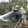 Рятувальники закликають чернігівців не спалювати суху траву та листя