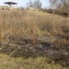 Під час спалюванні залишків сухої рослинності загинула 77-річна жінка