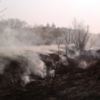 Рятувальники ліквідували пожежу сухої трави