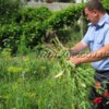 На присадибній ділянці мешканця Городнянського району правоохоронці виявили 500 рослин маку