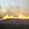 Упродовж доби вогнеборці ліквідували 6 пожеж у природних екологічних системах