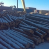 На Чернігівщині викрито злочинну схему експорту деревини