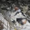 На Чернігівщині поліція розкрила вбивство військовослужбовця