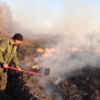 Гаряча пора: лісівники борються з наслідками самовільних підпалів