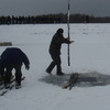 Заходи щодо попередження заморів риби в зимовий період на водоймах Чернігівщини