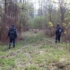 Рятувальники, правоохоронці та місцеве населення проводять пошуки літньої жінки, яка заблукала у лісі