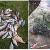 З початку нересту на Чернігівщині зафіксовано 73 порушення – рибоохоронний патруль