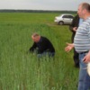 Агрогосподарства півночі Чернігівщини нарощують виробництво молока