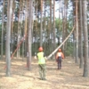 На Чернігівщині визначили кращого лісоруба. ВІДЕО