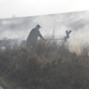 Впродовж минулих вихідних вогнеборці ліквідували 4 пожежі в природних екологічних системах