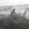 Триває ліквідація пожежі торфу, яка виникла через спалювання сухої рослинності