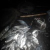 Чернігівський рибоохоронний патруль затримав грубих порушників з електроловом
