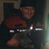 Рятувальники визволили застряглого у сміттєпроводі кота