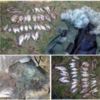 Чернігівський рибоохоронний патруль в районі с.Количівка виявив два грубі порушення зі збитками у 8 тис.грн.