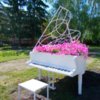 Клумба з квітами у формі роялю з’явилася у Чернігові. ФОТО