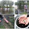 Чернігівський рибоохоронний патруль розпочав роботу по спасінню молоді риб