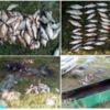 Чернігівський рибоохоронний патруль вилучив 15 кг риби зі збитками майже на 9 тис.грн.