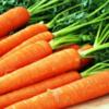 11 корисних властивостей моркви, про які не варто забувати