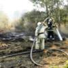 Чернігівська область: упродовж вихідних рятувальники ліквідували 7 пожеж у природних екосистемах