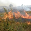 Вогнеборці Чернігівщини ліквідували 11 пожеж у природних екологічних системах