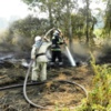 На Чернігівщині продовжують виникати пожежі внаслідок випалювання сухої рослинності