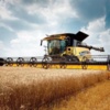 Жнива на Чернігівщині: зібрано понад 3 мільйони тонн зерна