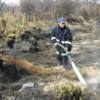 Оперативна інформація щодо ліквідації пожежі торфовищ на Чернігівщині