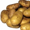 Цікаві факти про картоплю. ІНФОГРАФІКА