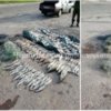 Чернігівським рибоохоронним патрулем викрито порушників із 72 кг риби
