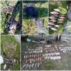 За два дні у порушників вилучено 92 кг риби зі збитками 18,4 тис. грн, - Чернігівський рибоохоронний патруль