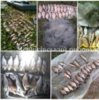 Чернігівським рибоохоронним патрулем за тиждень викрито 20 порушень правил рибальства зі збитками у 19 тис. грн.