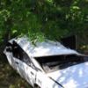 Куликівський район: рятувальники деблокували з пошкодженого внаслідок ДТП автомобіля загиблу пасажирку