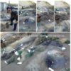 Чернігівським рибоохоронним патрулем знищено майже 2 кілометра сіток