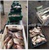 Викрито нелегального скупника з понад 400 кг риби