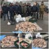 На ринках Чернігів за один день вилучено понад 350 кг незаконно добутої риби – Чернігівський рибоохоронний патруль