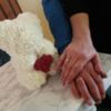 Чекали 29, натомість весільний марш пролунав для 41 пари - День закоханих на Чернігівщині