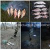 Протягом тижня Чернігівським рибоохоронним патрулем зафіксовано 63 порушення Правил рибальства