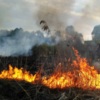 Упродовж минулої доби рятувальники ліквідували 14 загорянь сухої рослинності