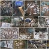 Чернігівським рибоохоронним патрулем протягом березня вилучено майже 350 кг незаконно добутої риби та понад 6 км сіток