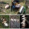 Чернігівським рибоохоронним патрулем протягом тижня виявлено 29 порушень Правил рибальства