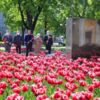 У Чернігові в День пам’яті та примирення до могил воїнів поклали квіти