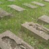 Пошкоджені надмогильні плити на німецькому кладовищі в Чернігові відновлять коштом міського бюджету