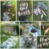 Чернігівським рибоохоронним патрулем протягом тижня виявлено 47 порушень Правил рибальства з понад 16 тис.грн збитків